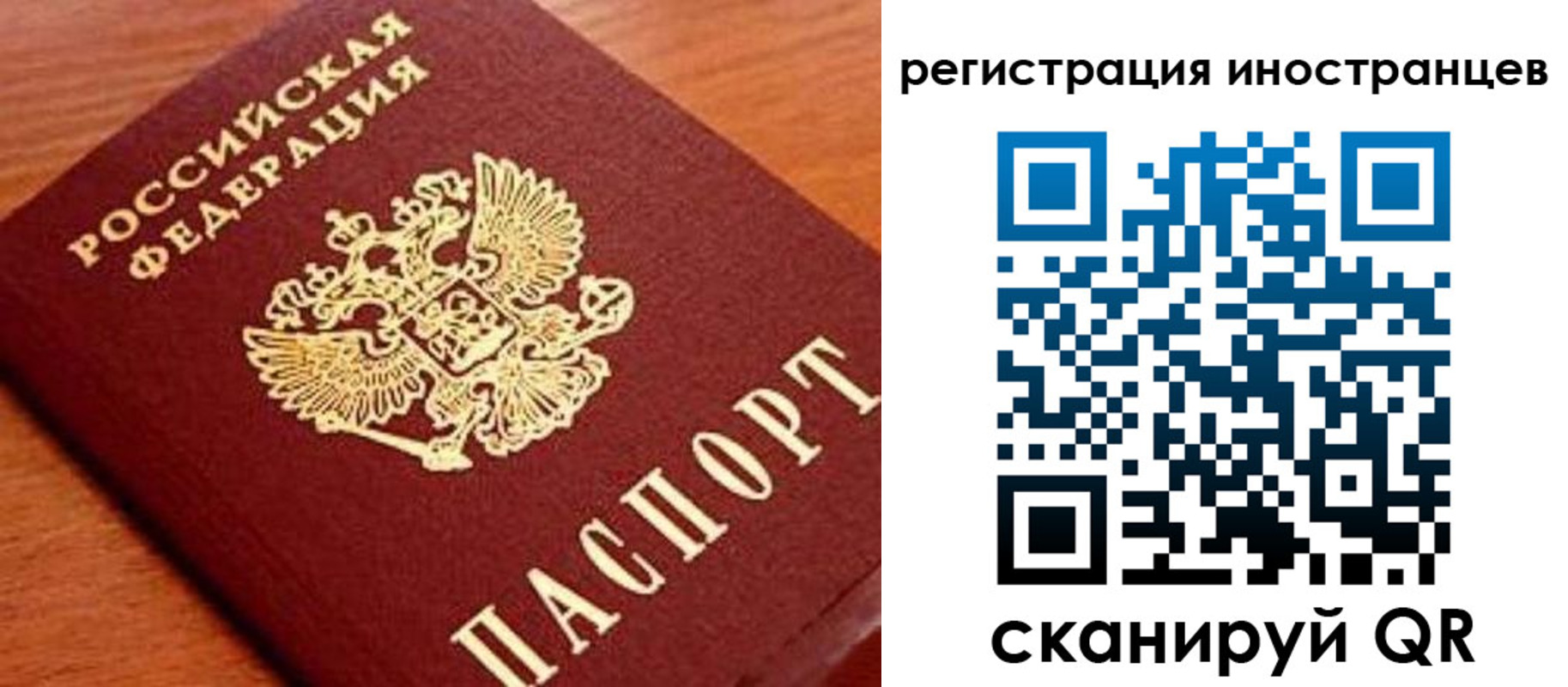 временная регистрация поиск в Нелидово